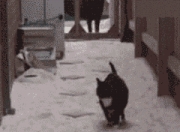 雷火电竞app-皮克爆破东方防线，拉齐奥精准战术打穿日本铁壁