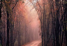 开云APP-欧洲足坛双重风暴！德国战车熄火引爆连锁反应，亚平宁争冠乱局再添薪柴