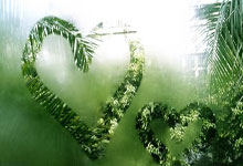 雷火电竞入口-圣西罗惊雷！AC米兰遭勇士重创，意甲王座暗战升级